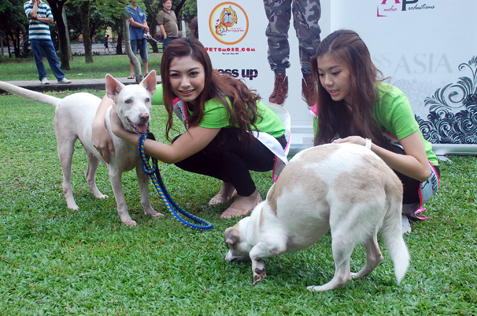 ATV Miss Asia Pageant Malaysia 2013 finalists spend time with dogs