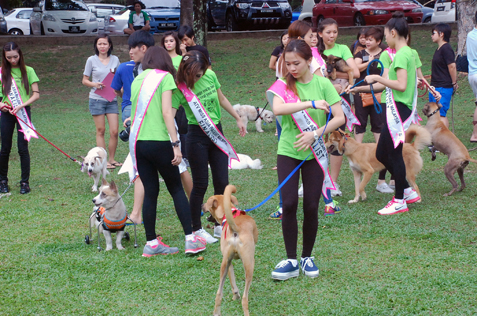 ATV Miss Asia Pageant Malaysia finalists walk the dogs at charity photo shoot at Central Park, Bandar Utama, PJ