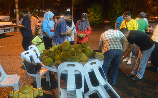 Residents choosing the durians