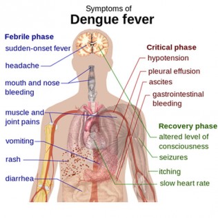 Malaysia-dengue-death-spike 3 copy