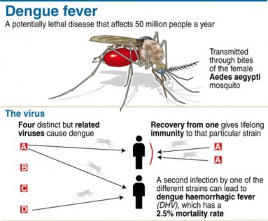 Malaysia-dengue-death-spike 4