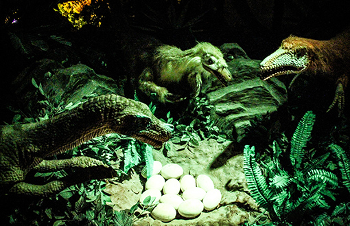 Discover the Mesozoic Era at Dinoscovery by Dinosaurs Live!