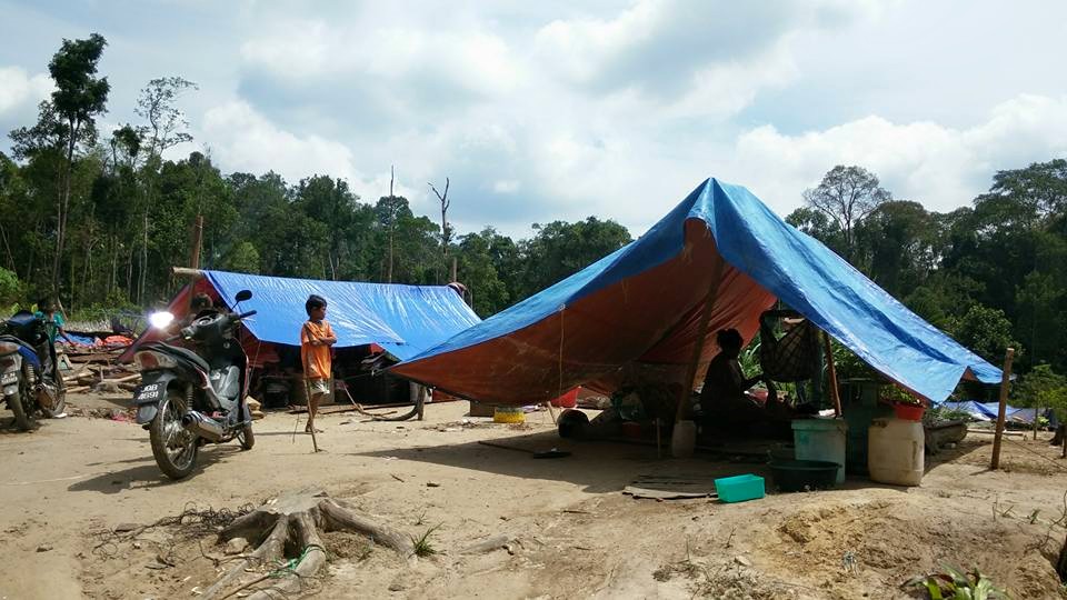 The temporary homes sheltering the Orang Asli (Images courtesy of DAP MERSING Facebook Page)