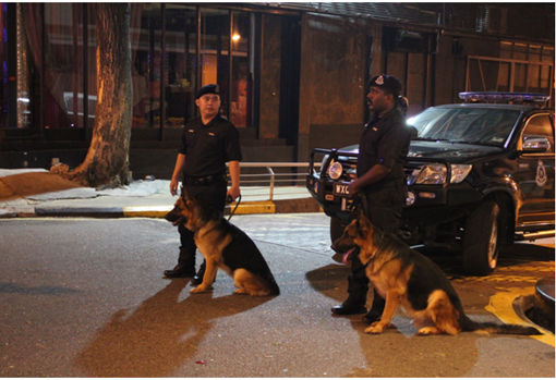 Police K9 Unit were seen near The Royale Bintang Hotel