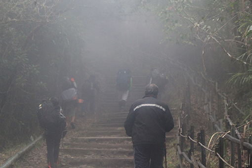 Trekking in the mist. (Images courtesy of Antony D'Cruz)