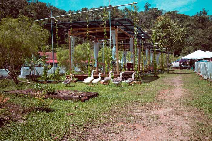 Dignity Farm Academy to build legacy of sustainability and self-sufficiency