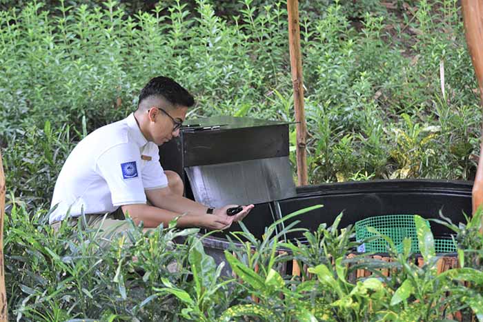 Ritz-Carlton Langkawi presents Sea Cucumber Reproduction Project