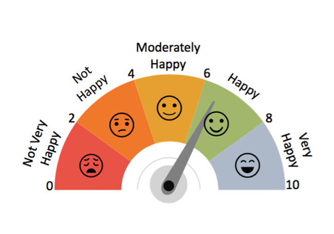 Happiness index