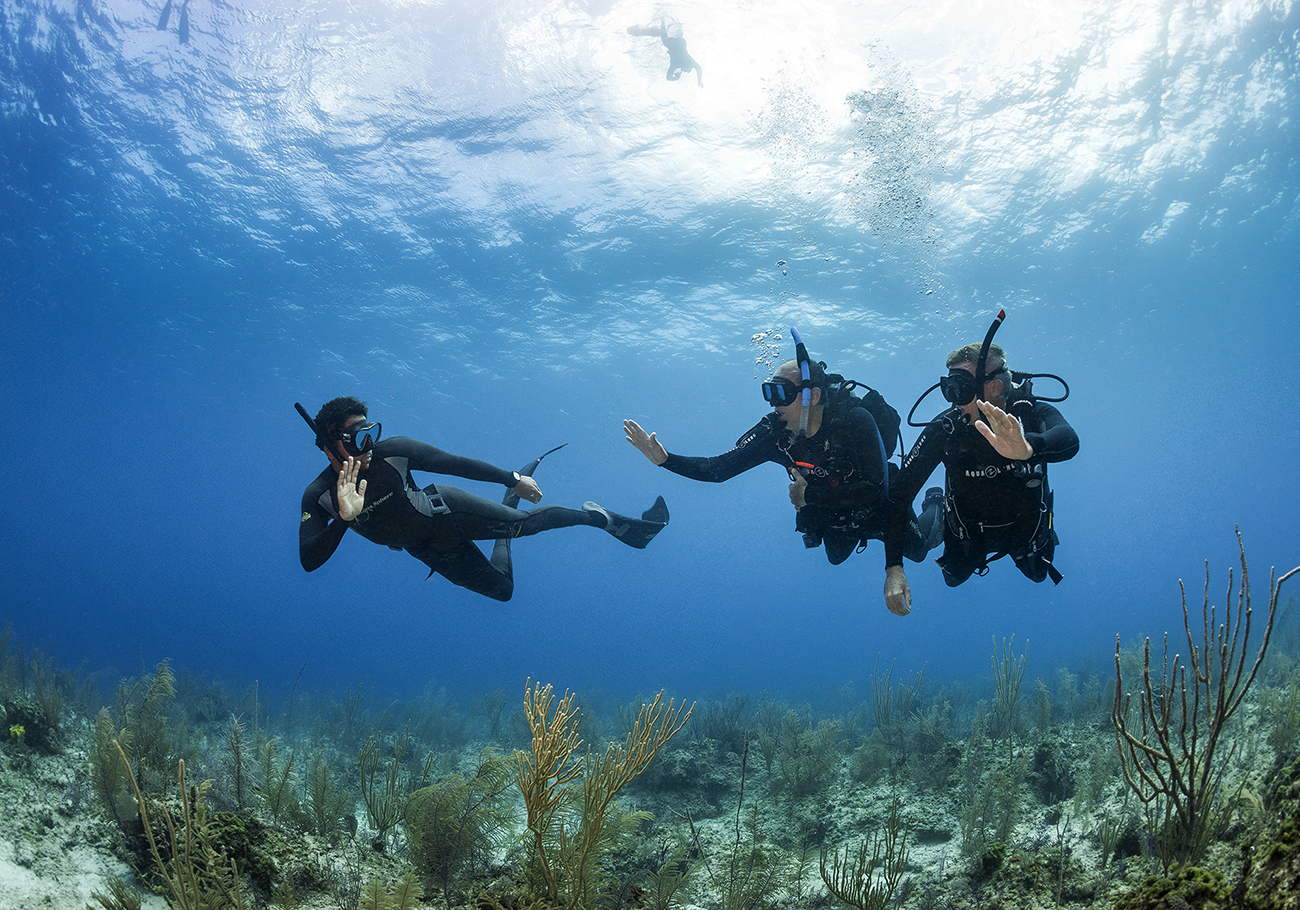 Tourism Malaysia highlights scuba diving to attract tourists