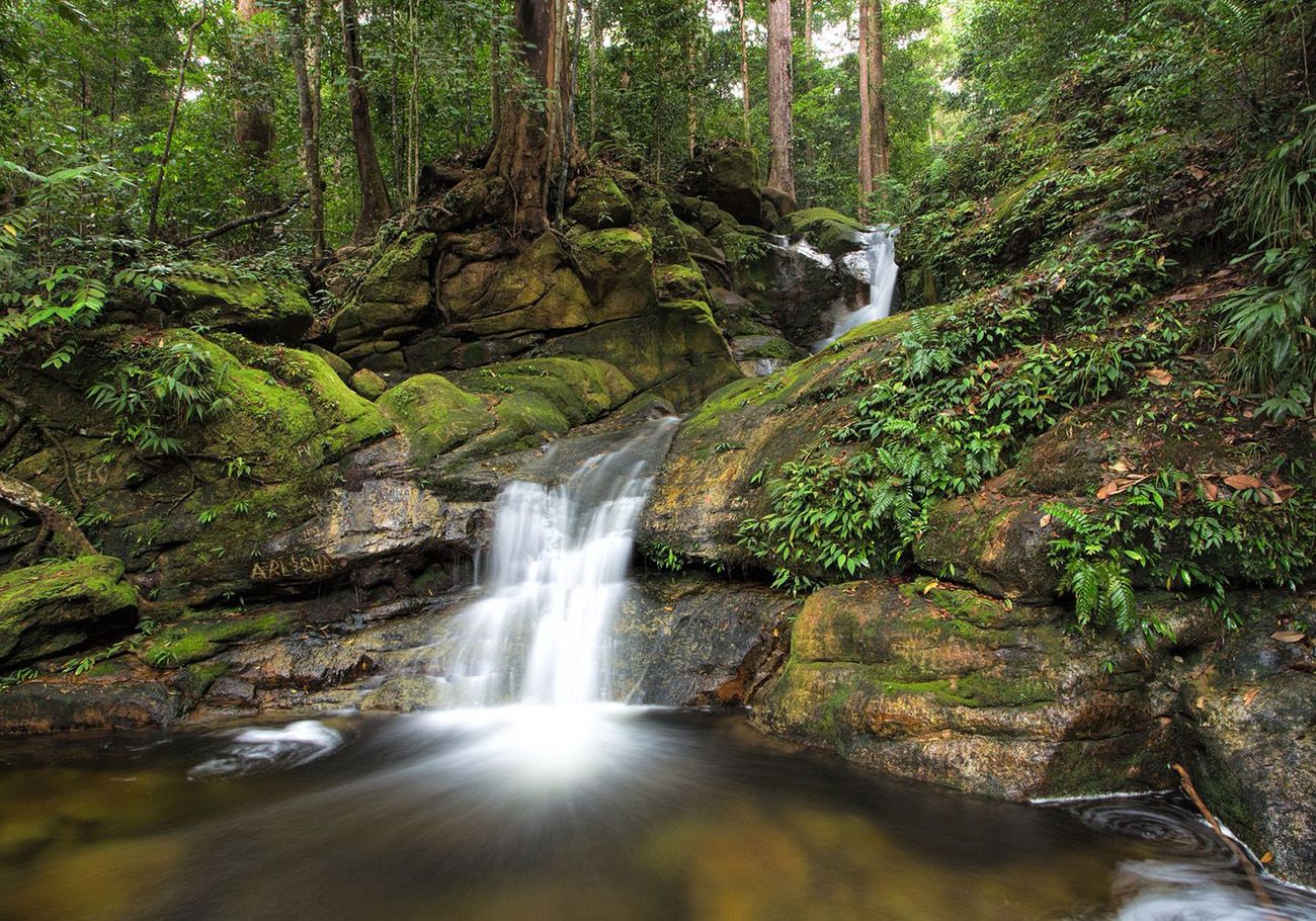 Santubong National Park to reopen on April 1 after monsoon closure