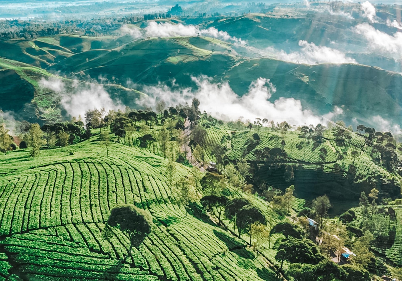 AirAsia launches inaugural flight to Kertajati, West Java