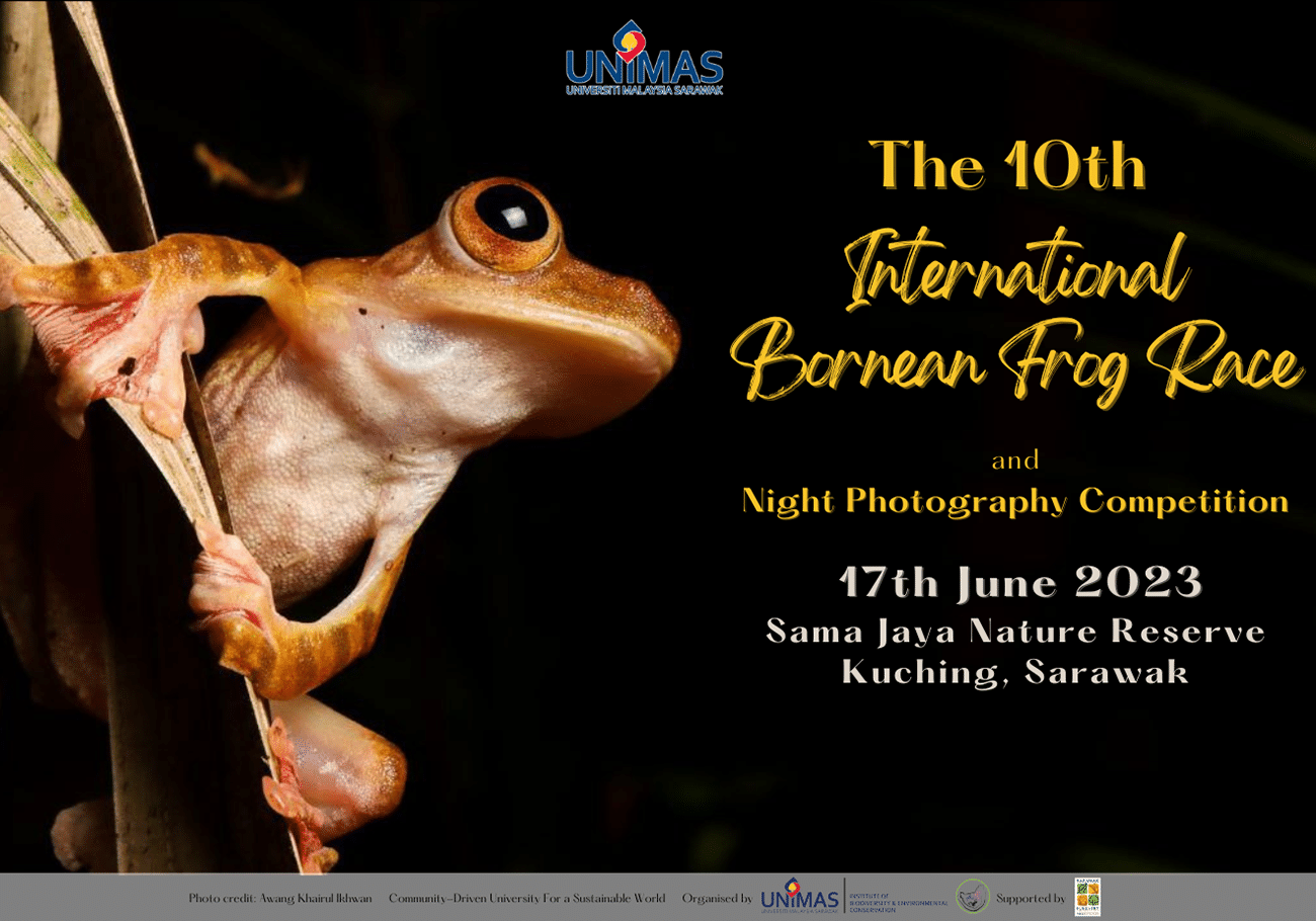 International Bornean Frog Race and Night Photography Competition