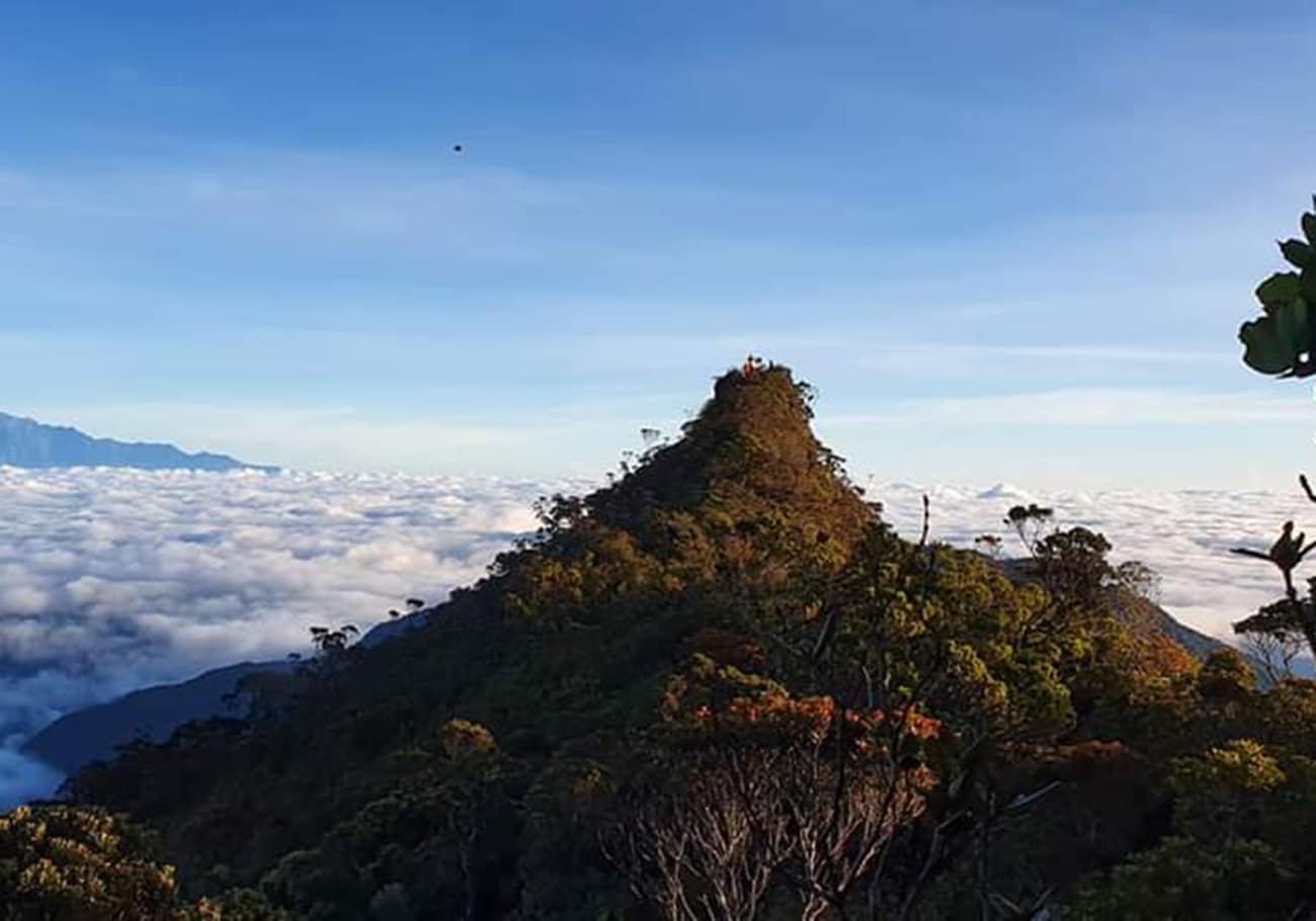 Mount Sinsing is the third tallest mountain in Malaysia
