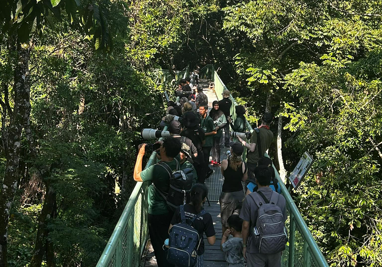 Record turnout at the 13th Borneo Bird Festival