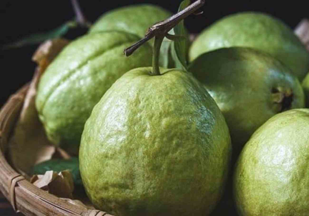 Melaka set to patent Lohan Guava as iconic fruit