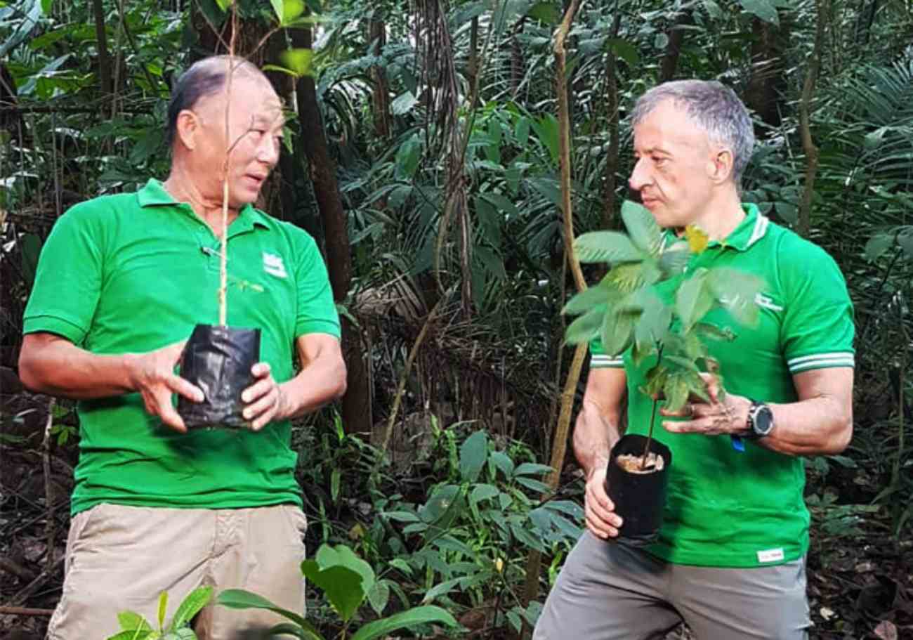 Nestlé hits milestone of 2.5 million trees in reforestation drive