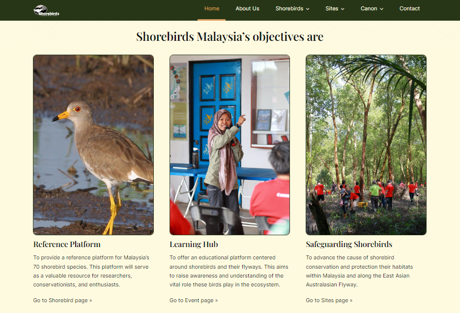 Close-up of microsite showcasing information on Malaysian shorebirds, emphasizing its role in raising awareness.