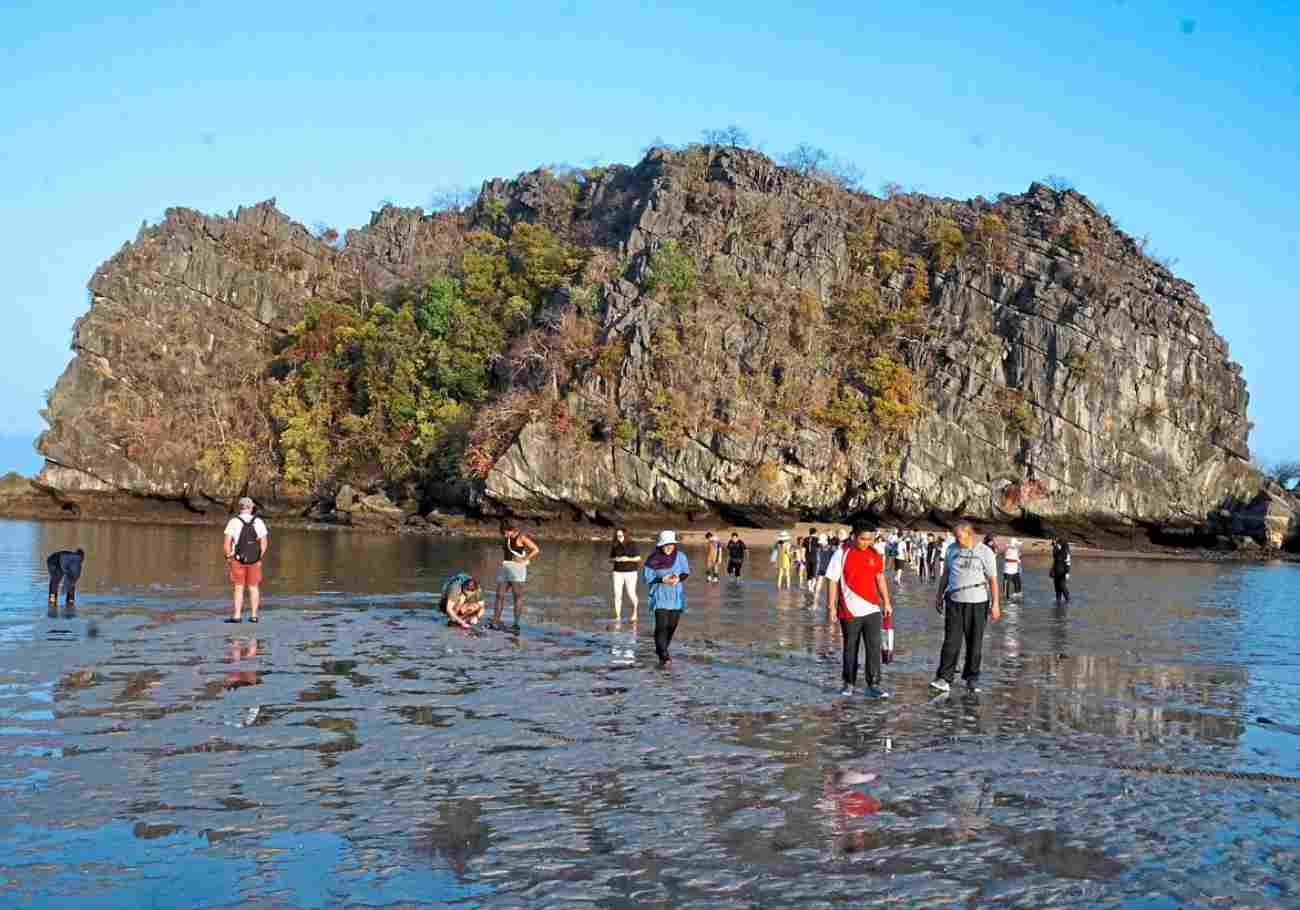 Diverse group of people exploring the shallow pools near the sandbar, observing marine life.