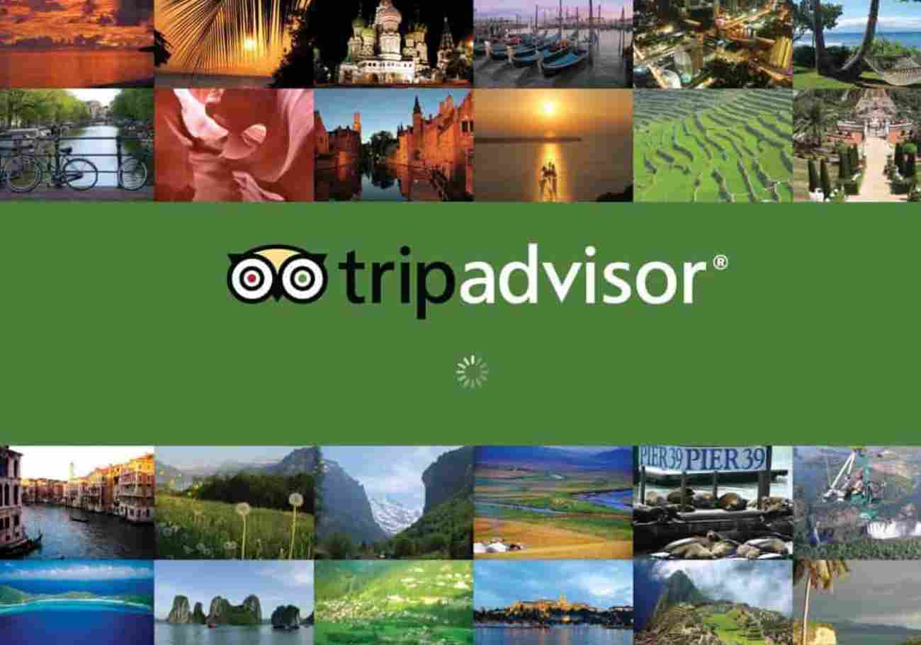 Person planning a trip on their phone, browsing Tripadvisor for attractions and activities in a travel destination.