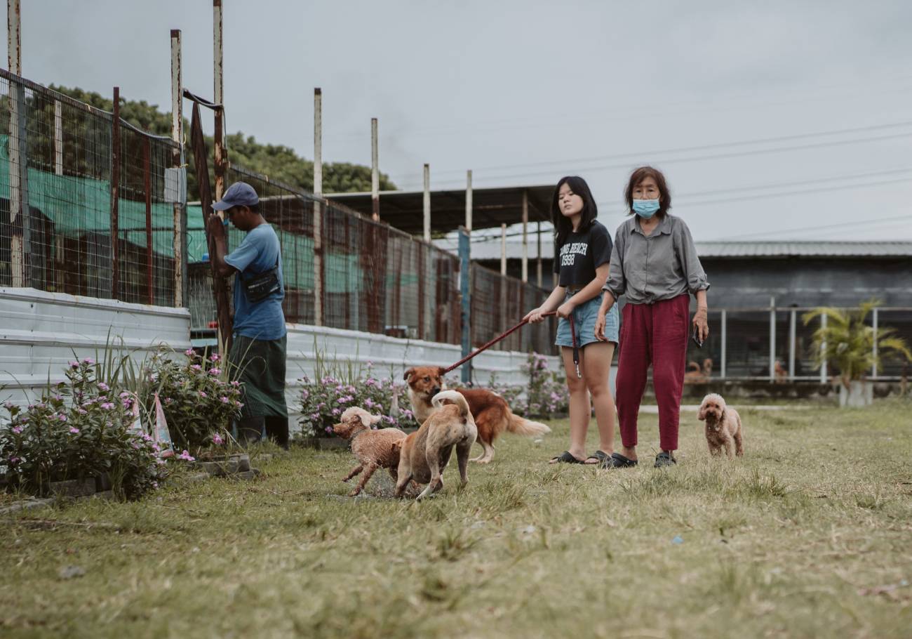 The Butterworth Fur Kids’ Home (BFKH), a no-kill animal shelter in Juru, urgently seeks funding to construct a new and larger shelter on an adjacent plot of land. 