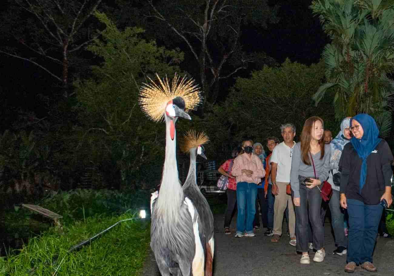 64 years wild: Zoo Taiping celebrates with free entry