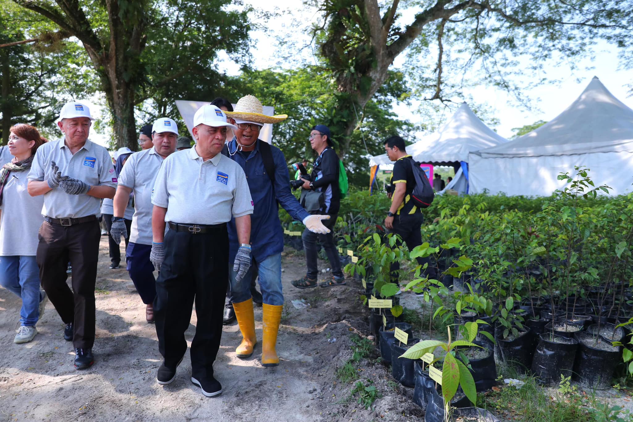 Perak exceeds national target by planting 7.88 mil trees