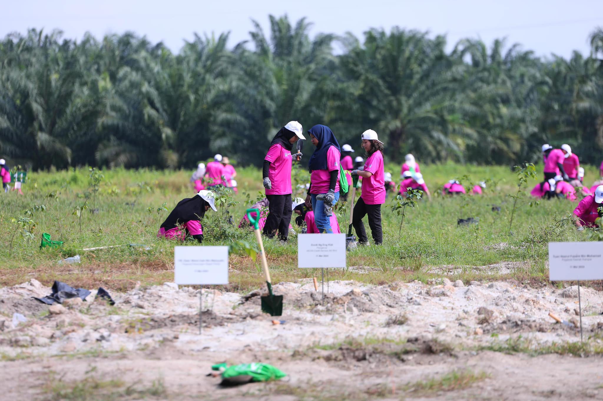 Perak exceeds national target by planting 7.88 mil trees