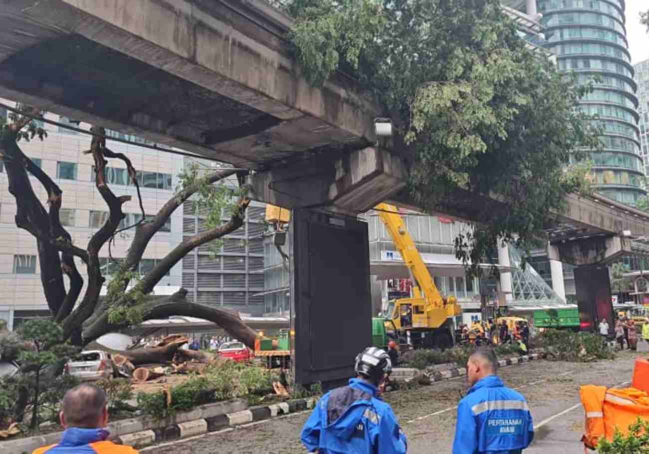 Tragedy strikes KL city centre as tree fall claims one life
