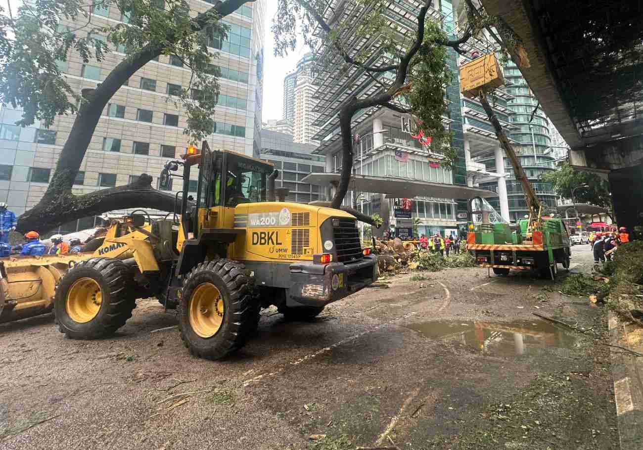 Tragedy strikes KL city centre as tree fall claims one life