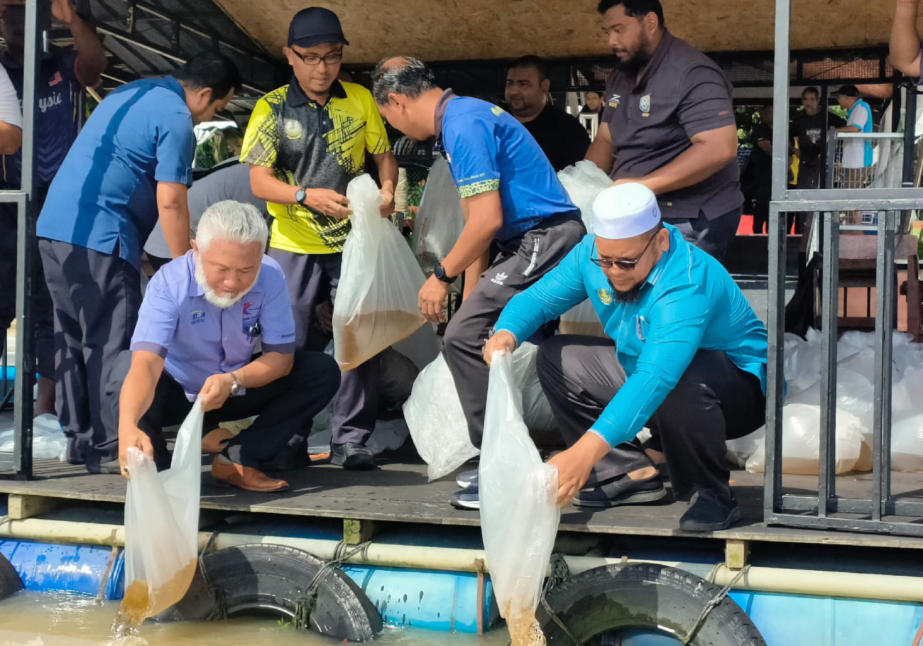 Permits required for releasing fish into Perak inland waters