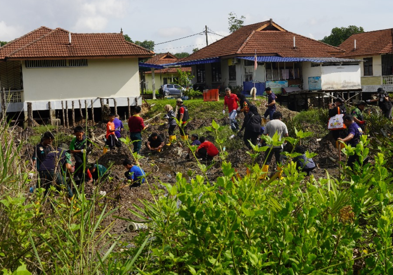 Social Hero Foundation hosts mangrove planting initiative