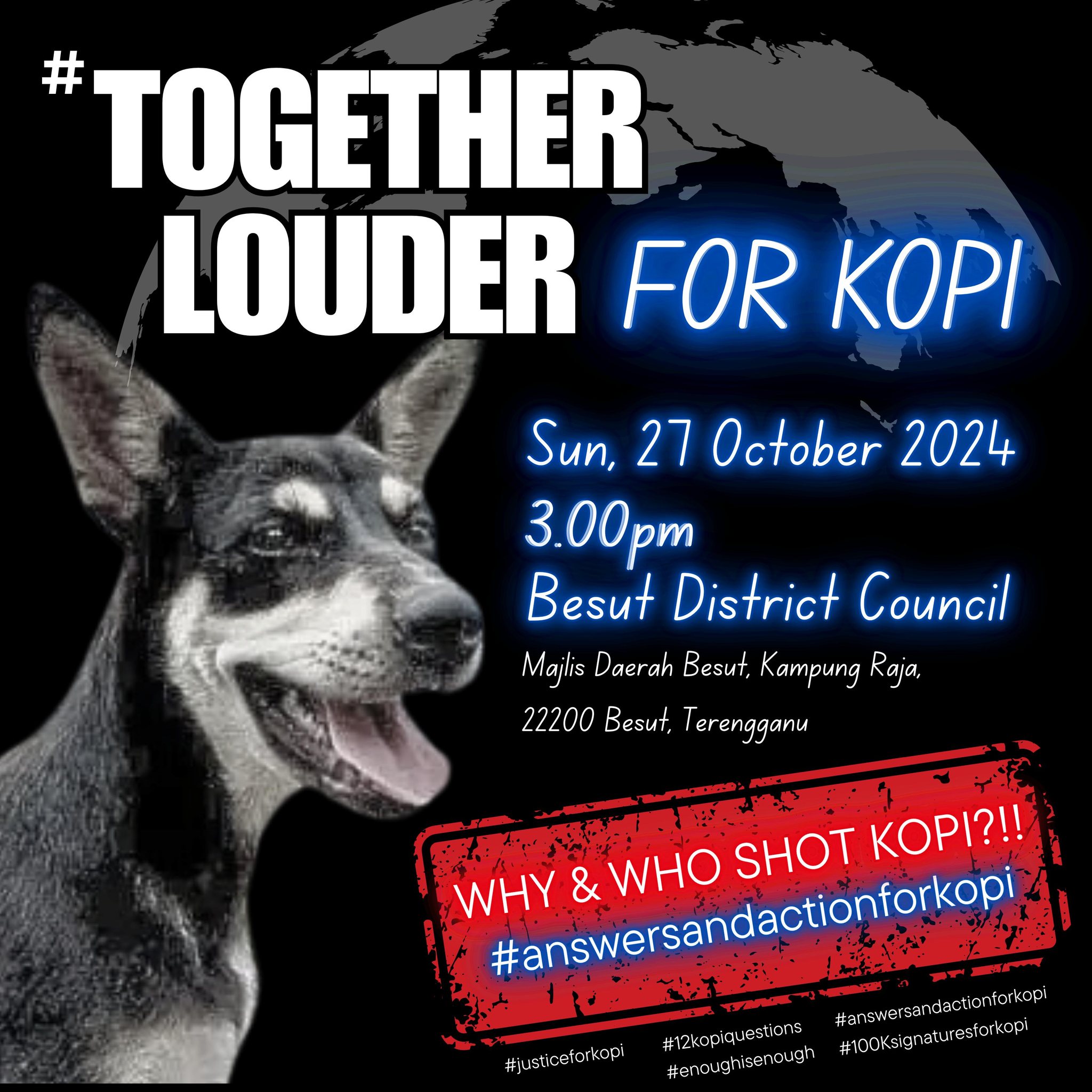 Justice sought after council shoots stray dog ‘Kopi’