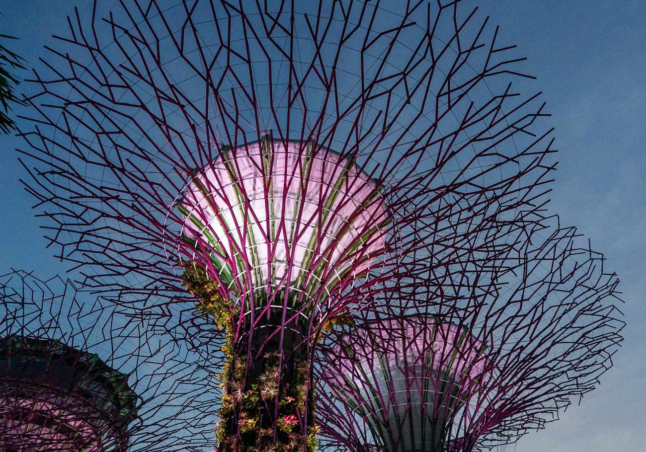 Travel with RedBus: Your guide to Singapore adventures