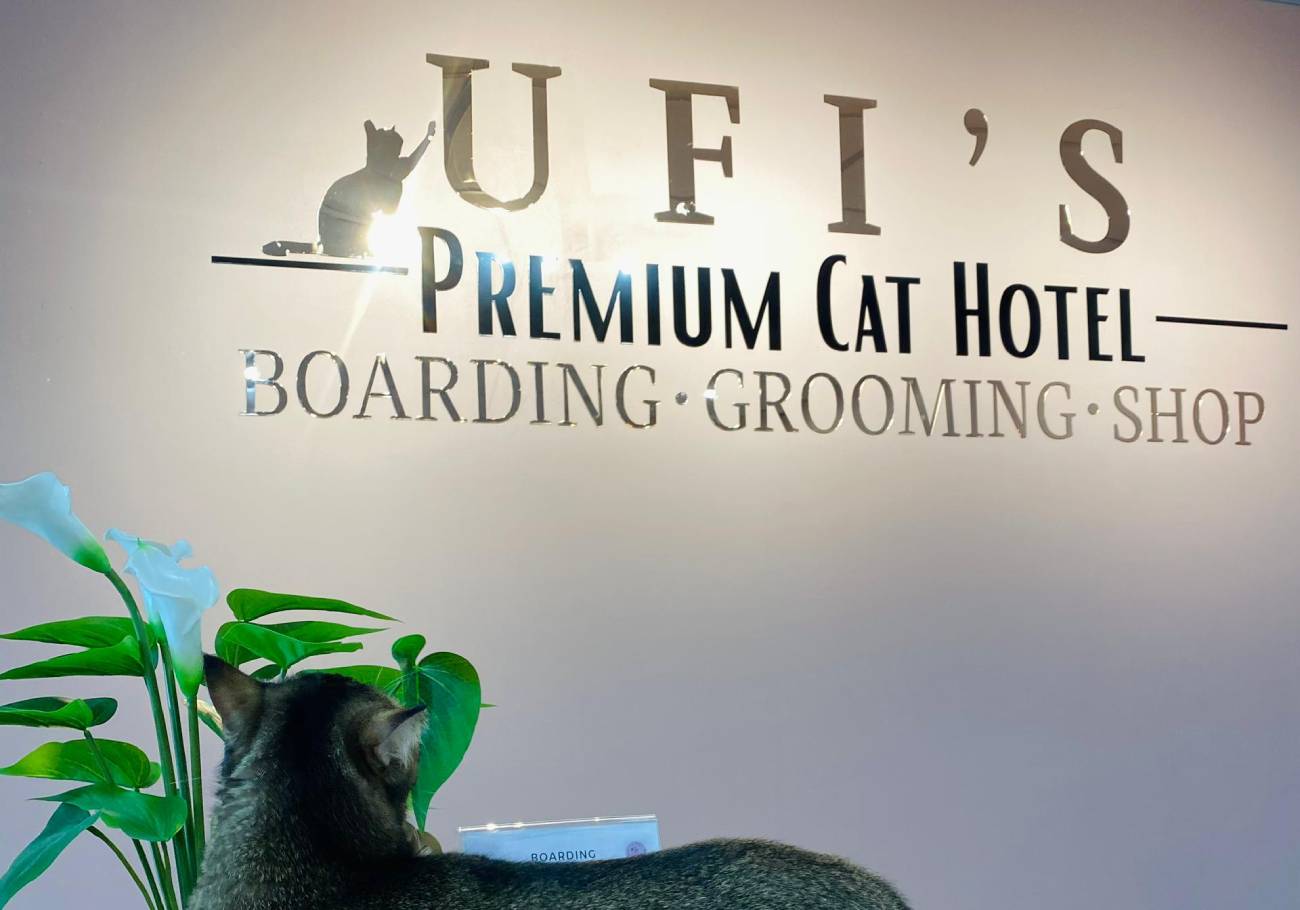 Ufi’s Premium Cat Hotel: Purr-fect getaway for cats